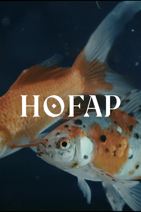hofap-magazine-noou-studio.gif